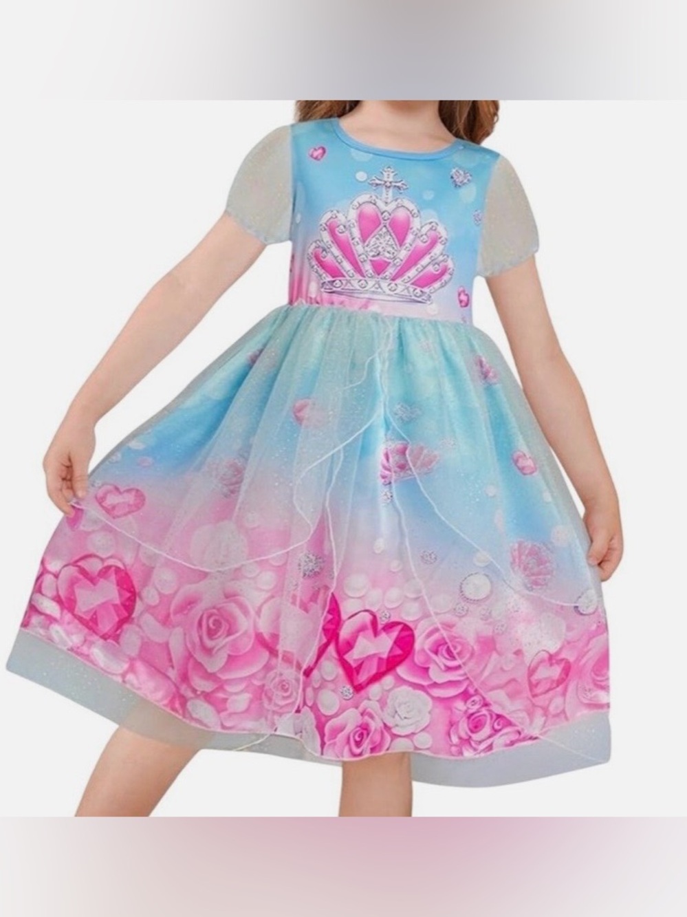 Princess Girls Sz 6t Tiara Ombre
Mesh Tutu Dress Blue Pink Floral
Party Costume